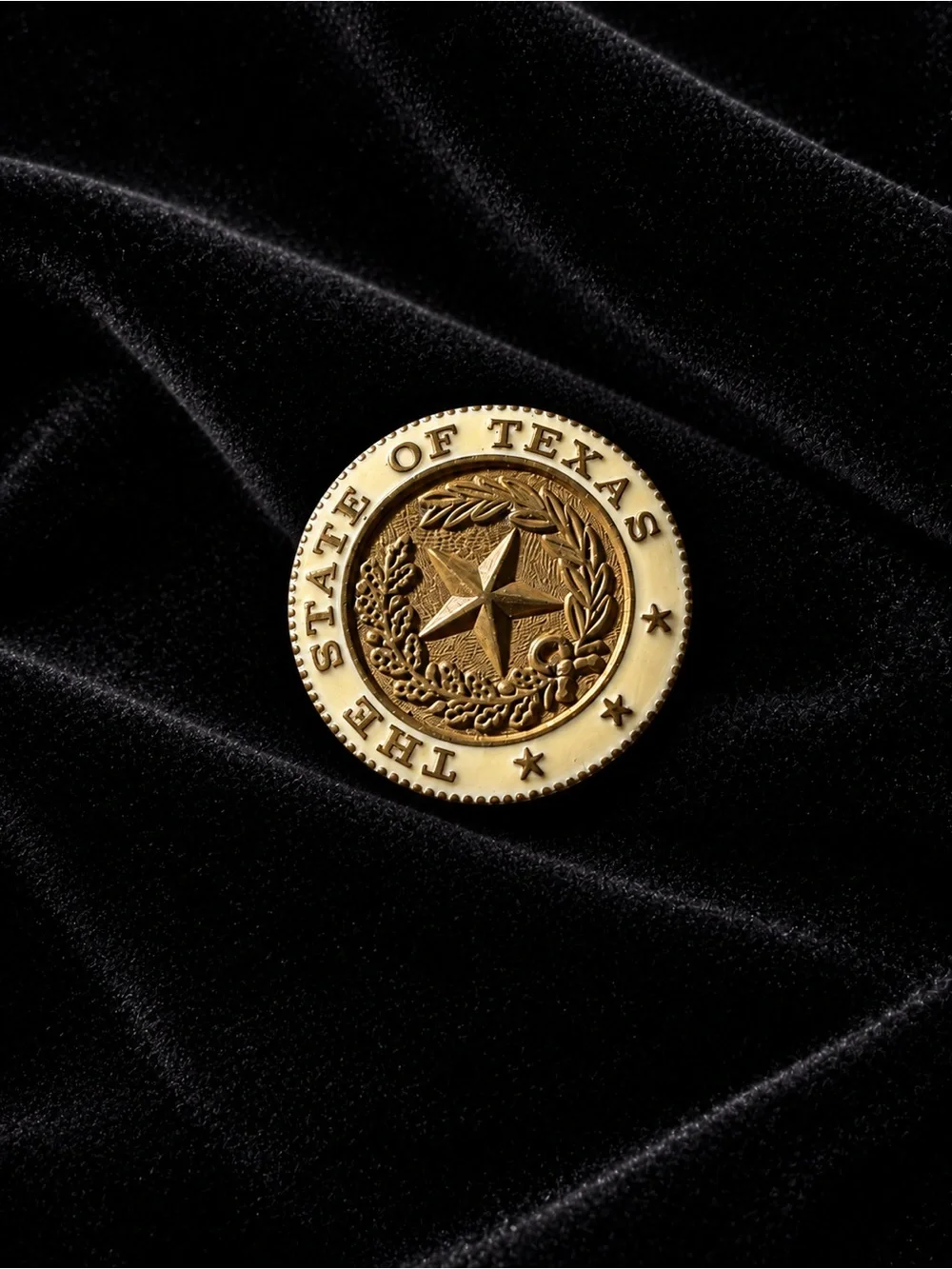 The State Seal of the State of Texas Pin
